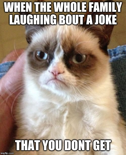 Grumpy Cat | WHEN THE WHOLE FAMILY LAUGHING BOUT A JOKE; THAT YOU DONT GET | image tagged in memes,grumpy cat | made w/ Imgflip meme maker