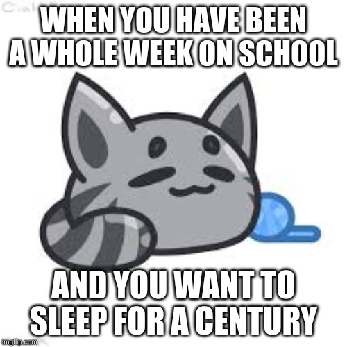 sleeping tabby | WHEN YOU HAVE BEEN A WHOLE WEEK ON SCHOOL; AND YOU WANT TO SLEEP FOR A CENTURY | image tagged in sleeping tabby | made w/ Imgflip meme maker
