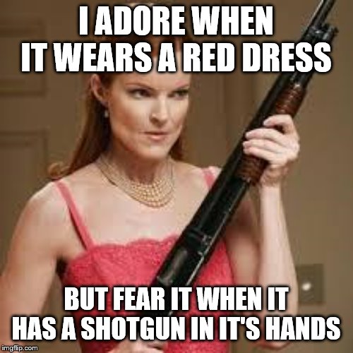 wife with a shotgun | I ADORE WHEN IT WEARS A RED DRESS BUT FEAR IT WHEN IT HAS A SHOTGUN IN IT'S HANDS | image tagged in wife with a shotgun | made w/ Imgflip meme maker