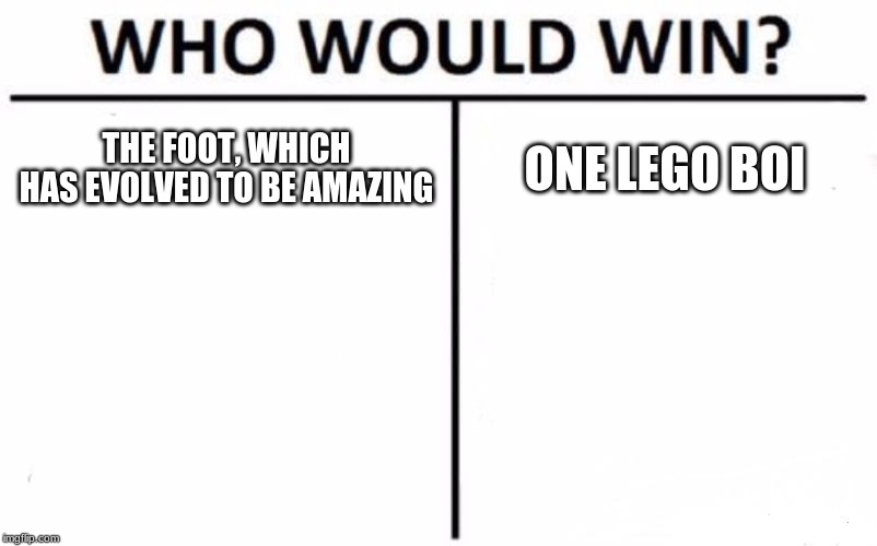 Who Would Win? | THE FOOT, WHICH HAS EVOLVED TO BE AMAZING; ONE LEGO BOI | image tagged in memes,who would win | made w/ Imgflip meme maker