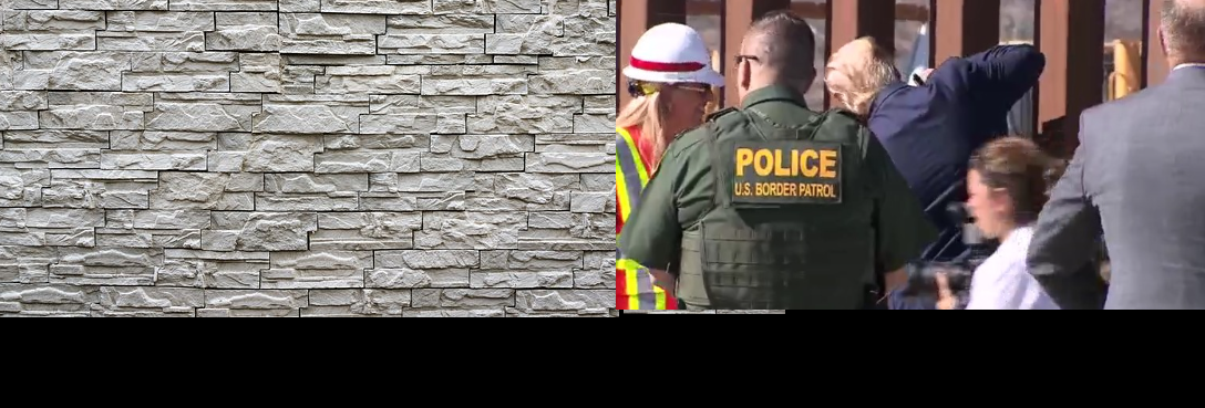 Wall vs Fence Blank Meme Template