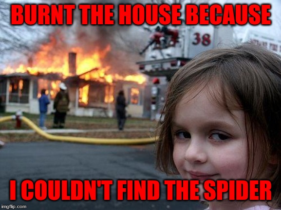 Disaster Girl Meme | BURNT THE HOUSE BECAUSE; I COULDN'T FIND THE SPIDER | image tagged in memes,disaster girl | made w/ Imgflip meme maker