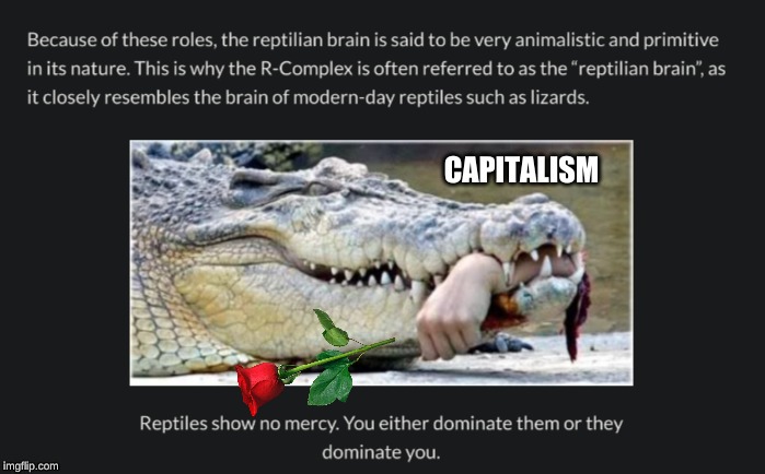 predatory capitalism | image tagged in capitalism | made w/ Imgflip meme maker