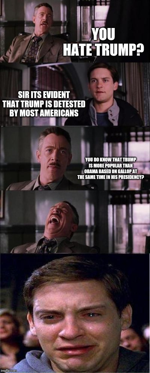 Peter Parker Cry Meme | YOU HATE TRUMP? SIR ITS EVIDENT THAT TRUMP IS DETESTED BY MOST AMERICANS; YOU DO KNOW THAT TRUMP IS MORE POPULAR THAN OBAMA BASED ON GALLOP AT THE SAME TIME IN HIS PRESIDENCY? | image tagged in memes,peter parker cry | made w/ Imgflip meme maker