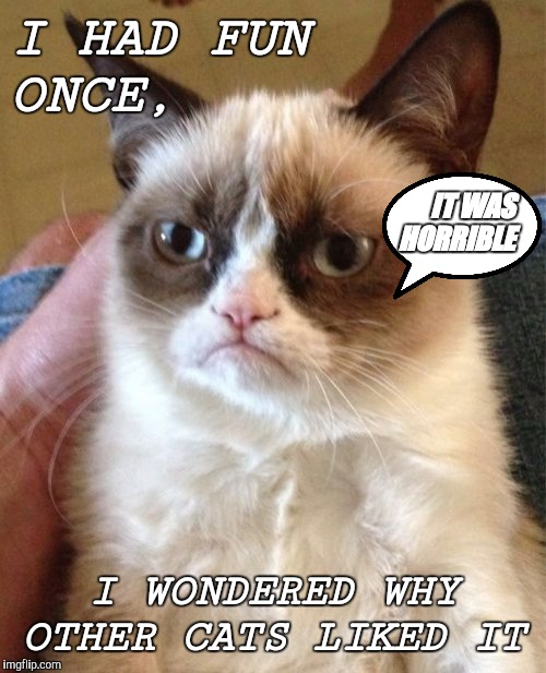 Grumpy Cat | I HAD FUN
ONCE, IT WAS
HORRIBLE; I WONDERED WHY OTHER CATS LIKED IT | image tagged in memes,grumpy cat | made w/ Imgflip meme maker