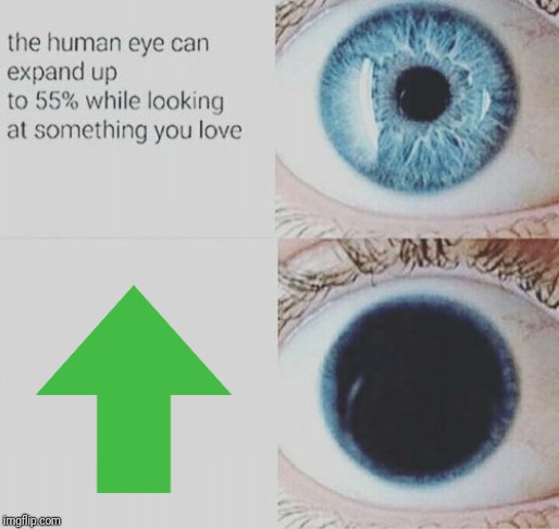 Eye pupil expand | image tagged in eye pupil expand | made w/ Imgflip meme maker