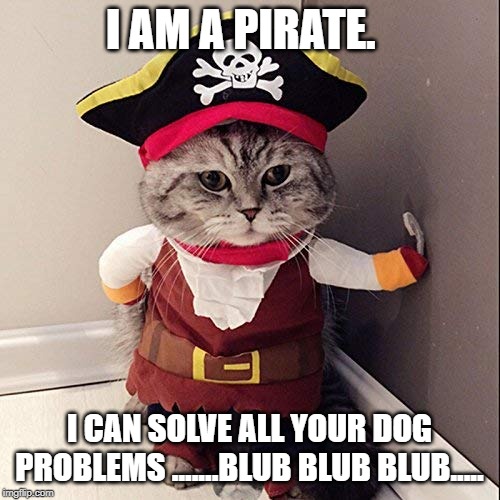 I AM A PIRATE. I CAN SOLVE ALL YOUR DOG PROBLEMS .......BLUB BLUB BLUB..... | made w/ Imgflip meme maker
