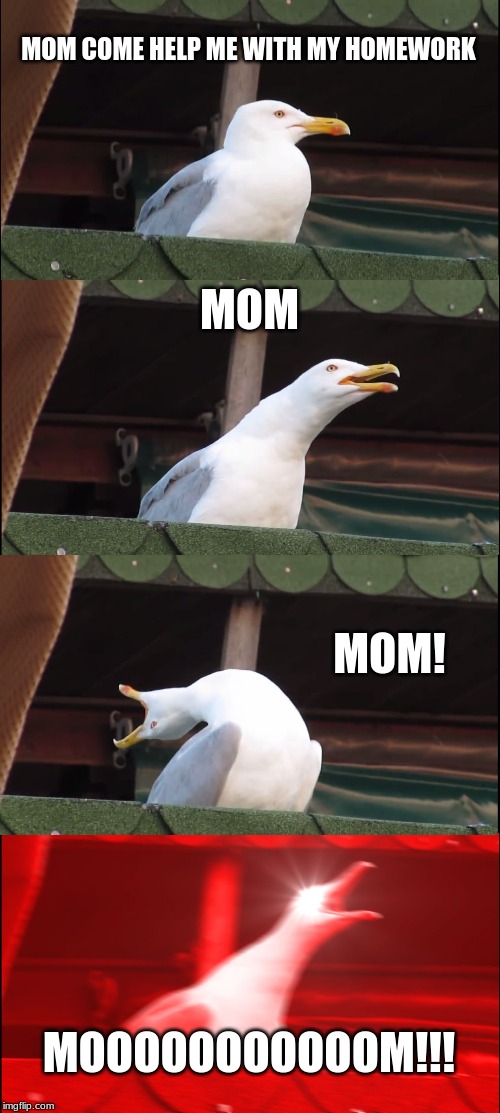 Inhaling Seagull Meme | MOM COME HELP ME WITH MY HOMEWORK; MOM; MOM! MOOOOOOOOOOOM!!! | image tagged in memes,inhaling seagull | made w/ Imgflip meme maker