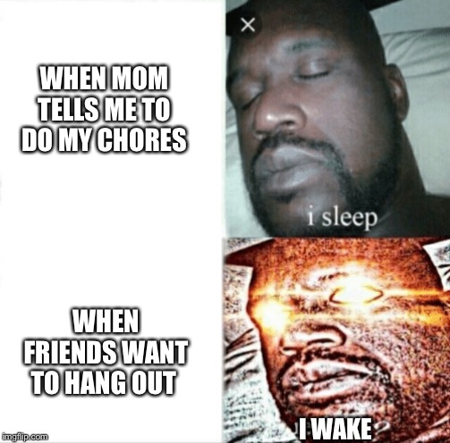 WHEN MOM TELLS ME TO DO MY CHORES; WHEN FRIENDS WANT TO HANG OUT; I WAKE | image tagged in memes,funny | made w/ Imgflip meme maker