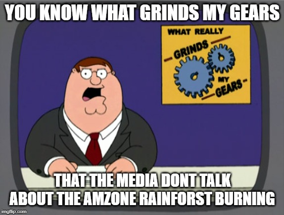 Peter Griffin News | YOU KNOW WHAT GRINDS MY GEARS; THAT THE MEDIA DONT TALK ABOUT THE AMZONE RAINFORST BURNING | image tagged in memes,peter griffin news | made w/ Imgflip meme maker