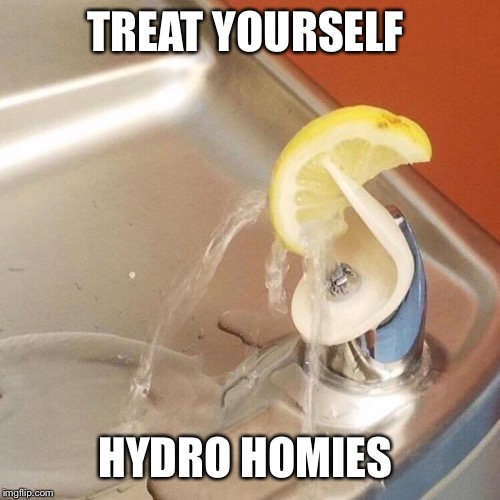 TREAT YOURSELF; HYDRO HOMIES | made w/ Imgflip meme maker