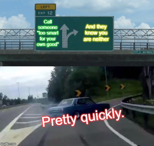 Left Exit 12 Off Ramp Meme | Call someone "too smart for your own good"; And they know you are neither; Pretty quickly. | image tagged in memes,left exit 12 off ramp | made w/ Imgflip meme maker