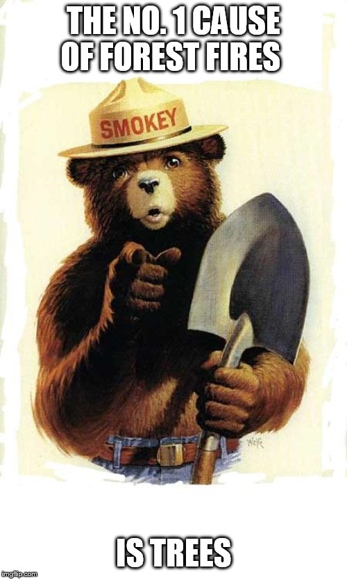 Smokey The Bear | THE NO. 1 CAUSE OF FOREST FIRES; IS TREES | image tagged in smokey the bear | made w/ Imgflip meme maker