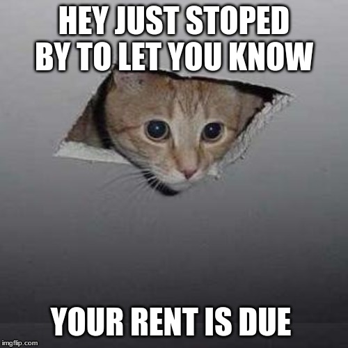 Ceiling Cat Meme | HEY JUST STOPED BY TO LET YOU KNOW; YOUR RENT IS DUE | image tagged in memes,ceiling cat | made w/ Imgflip meme maker