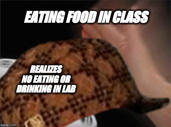 No eating or drinking in lab rule | EATING FOOD IN CLASS; REALIZES NO EATING OR DRINKING IN LAB | image tagged in cats | made w/ Imgflip meme maker