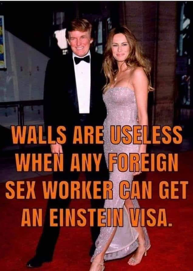 visa hoe Blank Meme Template