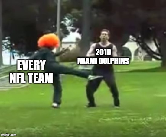 Truth Hurts | 2019 MIAMI DOLPHINS; EVERY NFL TEAM | image tagged in kicked in the nuts | made w/ Imgflip meme maker