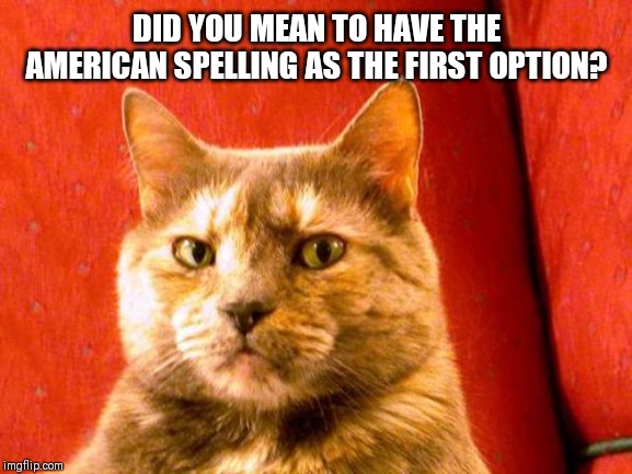 Suspicious Cat Meme | DID YOU MEAN TO HAVE THE AMERICAN SPELLING AS THE FIRST OPTION? | image tagged in memes,suspicious cat | made w/ Imgflip meme maker