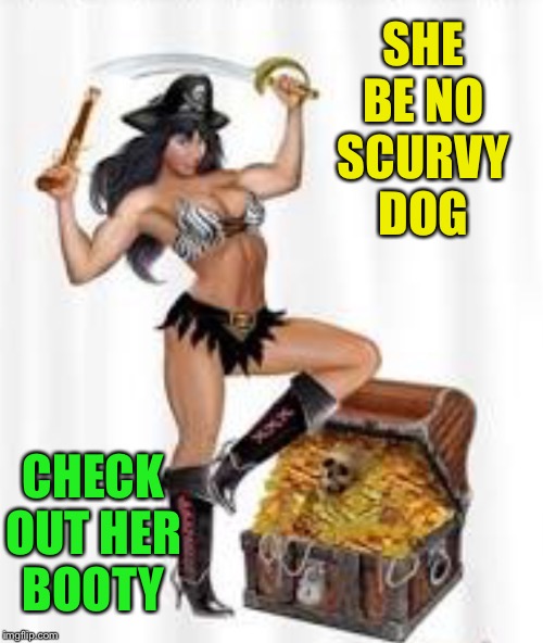 SHE BE NO SCURVY DOG CHECK OUT HER BOOTY | made w/ Imgflip meme maker