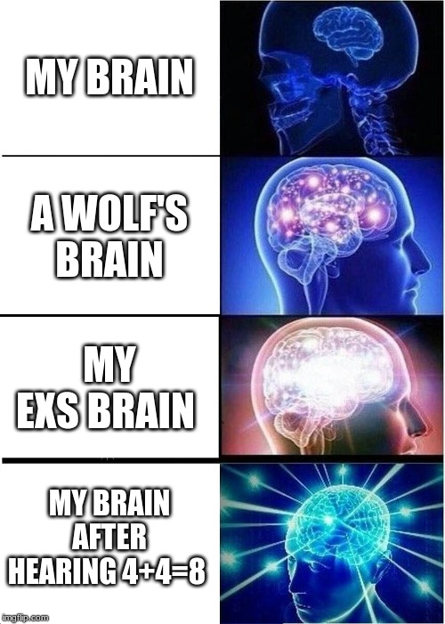 Expanding Brain | MY BRAIN; A WOLF'S BRAIN; MY EXS BRAIN; MY BRAIN AFTER HEARING 4+4=8 | image tagged in memes,expanding brain | made w/ Imgflip meme maker