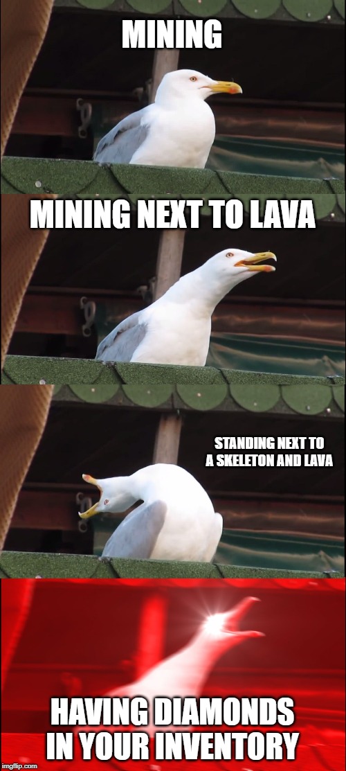 Inhaling Seagull | MINING; MINING NEXT TO LAVA; STANDING NEXT TO A SKELETON AND LAVA; HAVING DIAMONDS IN YOUR INVENTORY | image tagged in memes,inhaling seagull | made w/ Imgflip meme maker