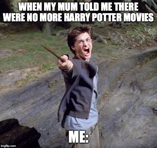 Harry potter | WHEN MY MUM TOLD ME THERE WERE NO MORE HARRY POTTER MOVIES; ME: | image tagged in harry potter | made w/ Imgflip meme maker