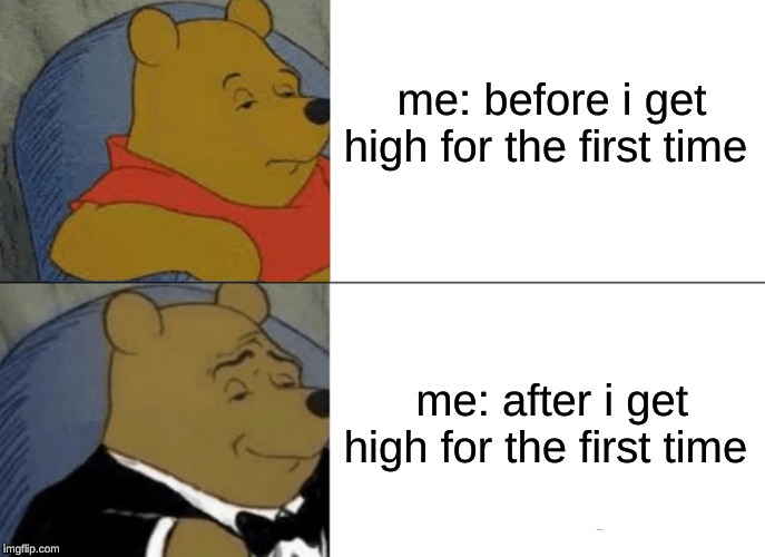 Tuxedo Winnie The Pooh Meme | me: before i get high for the first time; me: after i get high for the first time | image tagged in memes,tuxedo winnie the pooh | made w/ Imgflip meme maker