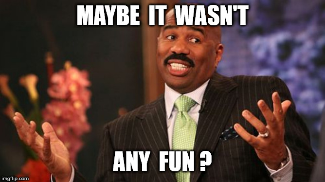 MAYBE  IT  WASN'T ANY  FUN ? | image tagged in memes,steve harvey | made w/ Imgflip meme maker