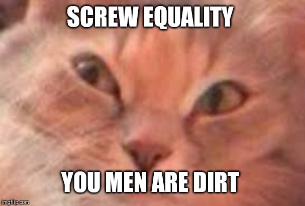 Triggered Cat | SCREW EQUALITY YOU MEN ARE DIRT | image tagged in triggered cat | made w/ Imgflip meme maker