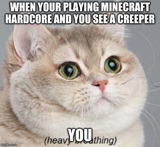Heavy Breathing Cat Meme | WHEN YOUR PLAYING MINECRAFT HARDCORE AND YOU SEE A CREEPER; YOU | image tagged in memes,heavy breathing cat | made w/ Imgflip meme maker