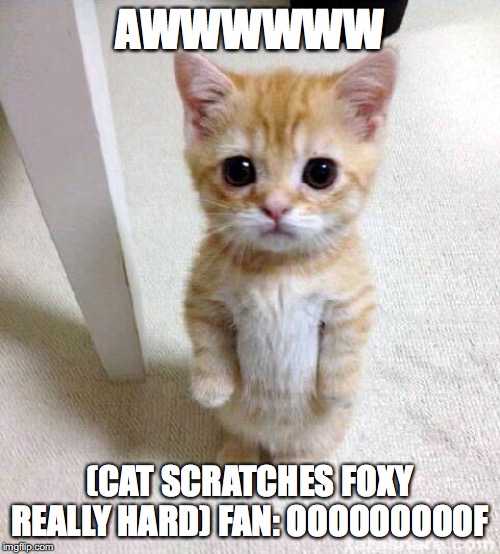 Cute Cat | AWWWWWW; (CAT SCRATCHES FOXY REALLY HARD) FAN: OOOOOOOOOF | image tagged in memes,cute cat | made w/ Imgflip meme maker