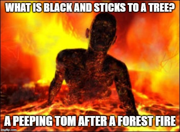 You Burn for This | WHAT IS BLACK AND STICKS TO A TREE? A PEEPING TOM AFTER A FOREST FIRE | image tagged in burn in hell cop killer | made w/ Imgflip meme maker