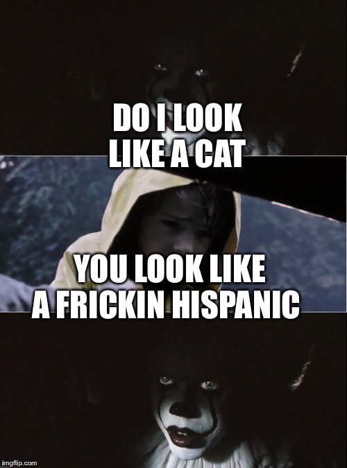 PennyWise kills George | DO I LOOK LIKE A CAT; YOU LOOK LIKE A FRICKIN HISPANIC | image tagged in pennywise kills george | made w/ Imgflip meme maker