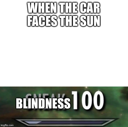 Sneak 100 | WHEN THE CAR FACES THE SUN; BLINDNESS | image tagged in sneak 100 | made w/ Imgflip meme maker