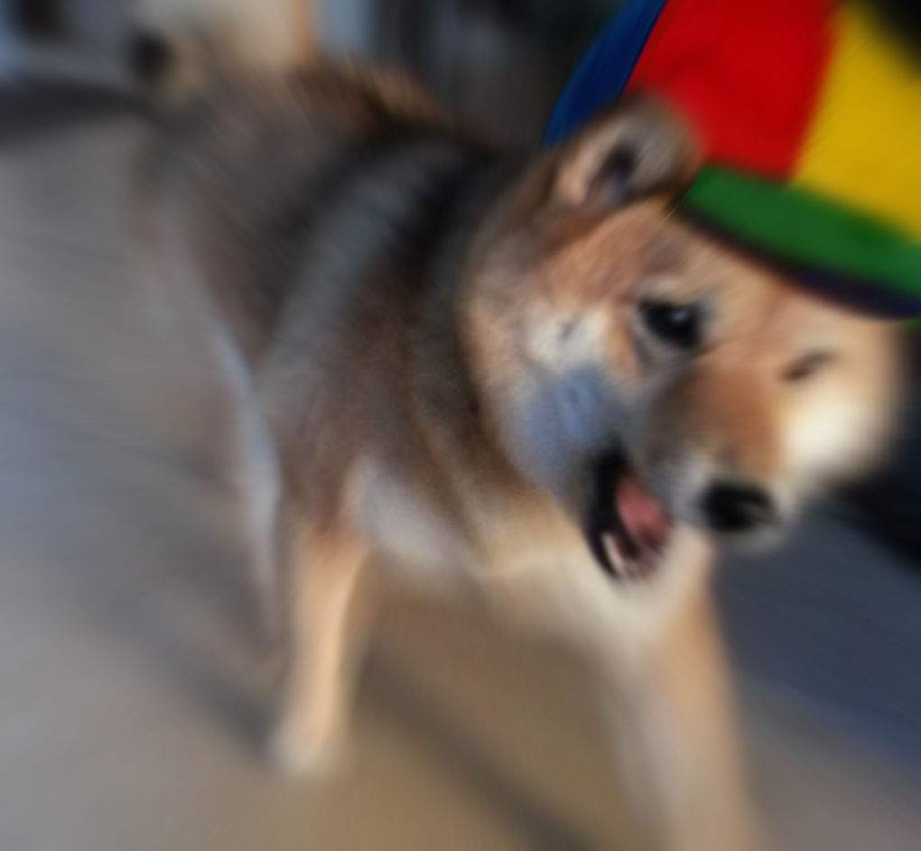 High Quality Running dogs kid Blank Meme Template