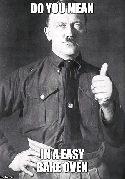 Hitler | DO YOU MEAN IN A EASY BAKE OVEN | image tagged in hitler | made w/ Imgflip meme maker
