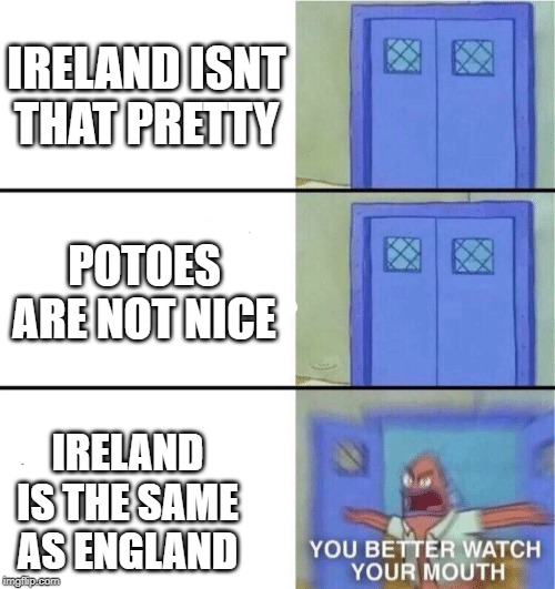 You better watch your mouth | IRELAND ISNT THAT PRETTY; POTOES ARE NOT NICE; IRELAND IS THE SAME AS ENGLAND | image tagged in you better watch your mouth | made w/ Imgflip meme maker