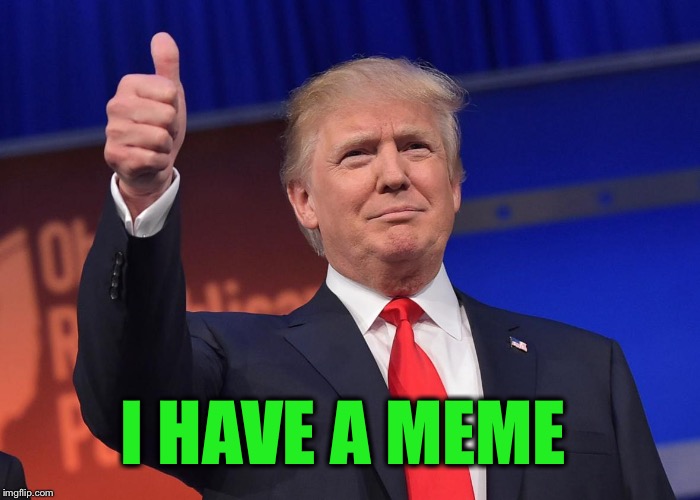 donald trump | I HAVE A MEME | image tagged in donald trump | made w/ Imgflip meme maker