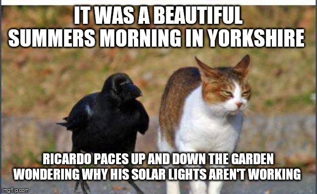 Roast Ricardo and all things British. September 16th-22nd A Yorkshire Kind of Stupid ᕙ(  • ‿ •  )ᕗ | IT WAS A BEAUTIFUL SUMMERS MORNING IN YORKSHIRE; RICARDO PACES UP AND DOWN THE GARDEN WONDERING WHY HIS SOLAR LIGHTS AREN'T WORKING | image tagged in roast ricardo week | made w/ Imgflip meme maker