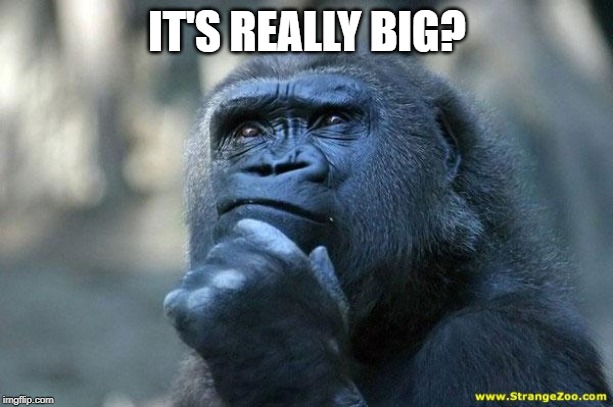 Deep Thoughts | IT'S REALLY BIG? | image tagged in deep thoughts | made w/ Imgflip meme maker