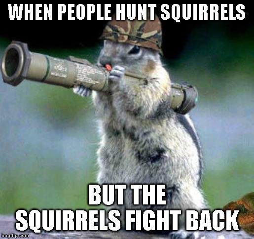 Bazooka Squirrel |  WHEN PEOPLE HUNT SQUIRRELS; BUT THE SQUIRRELS FIGHT BACK | image tagged in memes,bazooka squirrel | made w/ Imgflip meme maker