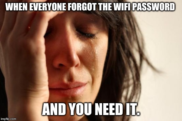 First World Problems Meme | WHEN EVERYONE FORGOT THE WIFI PASSWORD; AND YOU NEED IT. | image tagged in memes,first world problems | made w/ Imgflip meme maker