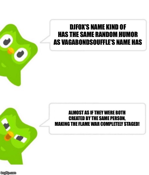 Duo gets mad | DJFOX’S NAME KIND OF HAS THE SAME RANDOM HUMOR AS VAGABONDSOUFFLE’S NAME HAS; ALMOST AS IF THEY WERE BOTH CREATED BY THE SAME PERSON, MAKING THE FLAME WAR COMPLETELY STAGED! | image tagged in duo gets mad | made w/ Imgflip meme maker