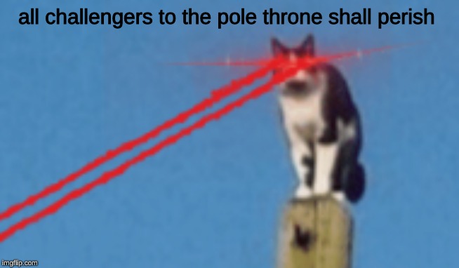 all challengers to the pole throne shall perish | made w/ Imgflip meme maker
