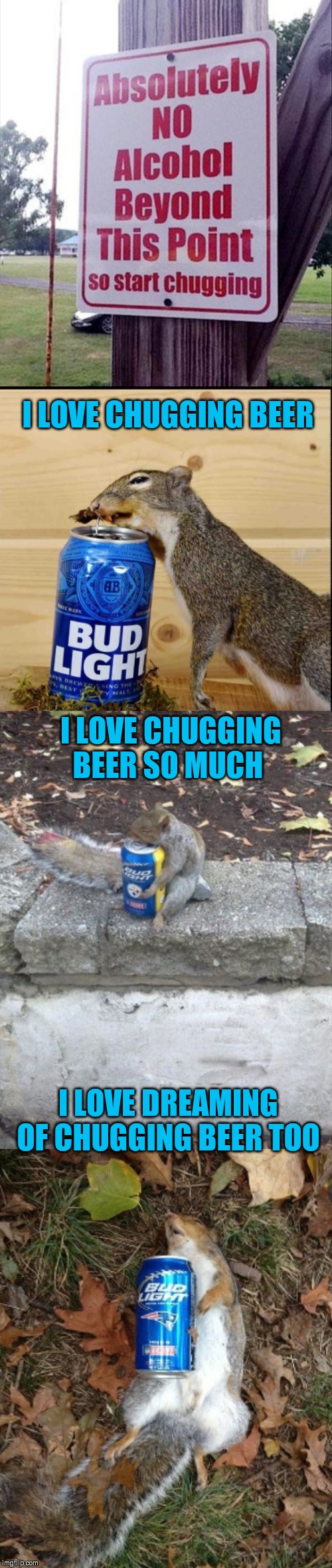And eating beer nuts | I LOVE CHUGGING BEER; I LOVE CHUGGING BEER SO MUCH; I LOVE DREAMING OF CHUGGING BEER TOO | image tagged in memes,squirrel,44colt,beer,budlight squirrel,funny signs | made w/ Imgflip meme maker