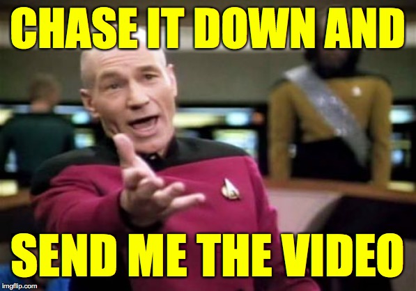 Picard Wtf Meme | CHASE IT DOWN AND SEND ME THE VIDEO | image tagged in memes,picard wtf | made w/ Imgflip meme maker