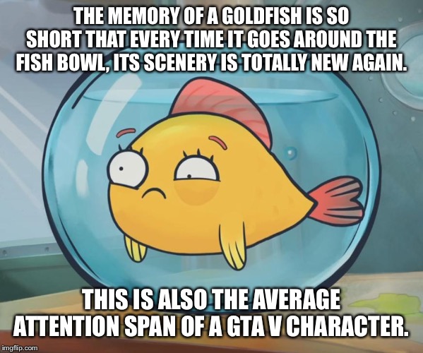 goldfish | THE MEMORY OF A GOLDFISH IS SO SHORT THAT EVERY TIME IT GOES AROUND THE FISH BOWL, ITS SCENERY IS TOTALLY NEW AGAIN. THIS IS ALSO THE AVERAGE ATTENTION SPAN OF A GTA V CHARACTER. | image tagged in goldfish | made w/ Imgflip meme maker
