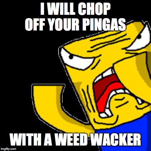 Roblox Noob | I WILL CHOP OFF YOUR PINGAS; WITH A WEED WACKER | image tagged in roblox noob | made w/ Imgflip meme maker