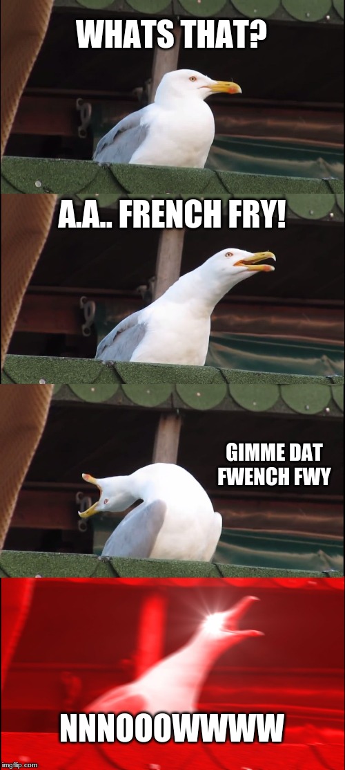 Inhaling Seagull | WHATS THAT? A.A.. FRENCH FRY! GIMME DAT FWENCH FWY; NNNOOOWWWW | image tagged in memes,inhaling seagull | made w/ Imgflip meme maker