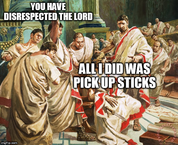 Numbers 15:32-36 | YOU HAVE DISRESPECTED THE LORD; ALL I DID WAS PICK UP STICKS | image tagged in numbers,bible,mob,lynching,abrahamic religions,lynch mob | made w/ Imgflip meme maker
